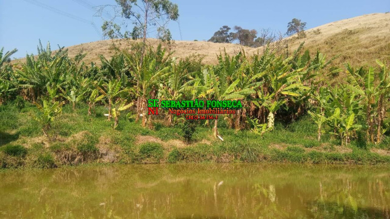 Imagem Chácara com 2 Quartos à Venda, 1.200.000 m² em Centro - Caçapava Imagem Chácara com 2 Quartos à Venda, 1.200.000 m² em Centro - Caçapava