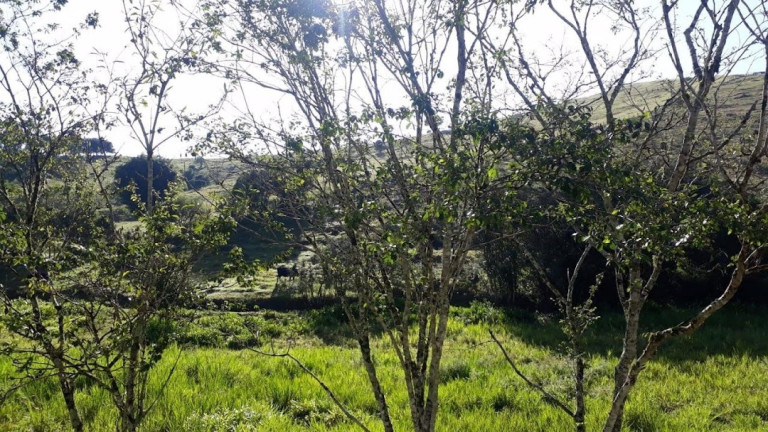 Imagem Fazenda à Venda, 120 m² em Centro - Passa Quatro Imagem Fazenda à Venda, 120 m² em Centro - Passa Quatro