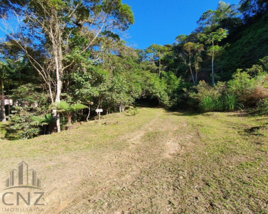 Imagem Terreno à Venda, 96.000 m² em Dom Joaquim - Brusque Imagem Terreno à Venda, 96.000 m² em Dom Joaquim - Brusque