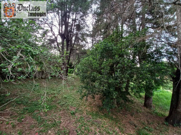 Imagem Chácara à Venda, 21.140 m² em Dos Pessegueiros - Extrema Imagem Chácara à Venda, 21.140 m² em Dos Pessegueiros - Extrema