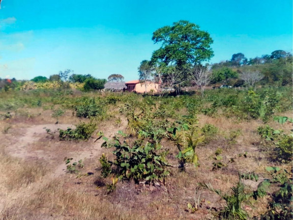 Imagem Fazenda à Venda, 777 m² em Rural - Lizarda Imagem Fazenda à Venda, 777 m² em Rural - Lizarda