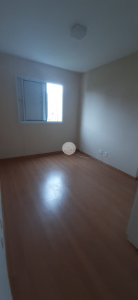 Imagem Apartamento com 2 Quartos para Alugar, 56 m² em Vila Andrade - São Paulo Imagem Apartamento com 2 Quartos para Alugar, 56 m² em Vila Andrade - São Paulo