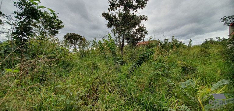 Imagem Terreno à Venda, 450 m² em Fernão Dias - Esmeraldas Imagem Terreno à Venda, 450 m² em Fernão Dias - Esmeraldas