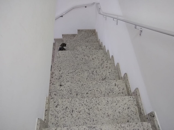 Imagem Casa de Condomínio com 2 Quartos à Venda, 60 m² em Jaçanã - São Paulo Imagem Casa de Condomínio com 2 Quartos à Venda, 60 m² em Jaçanã - São Paulo