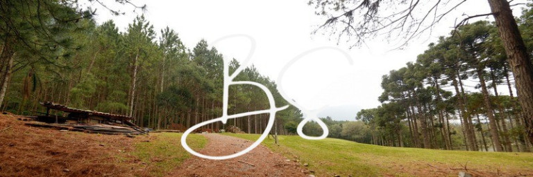 Imagem Terreno à Venda, 35.000 m² em Centro - Gramado Imagem Terreno à Venda, 35.000 m² em Centro - Gramado