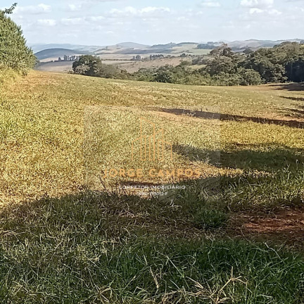 Imagem Fazenda à Venda, 190 m² em área Rural - Minduri Imagem Fazenda à Venda, 190 m² em área Rural - Minduri