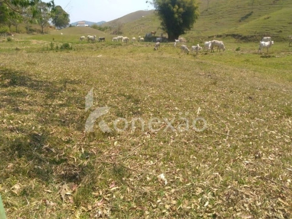 Imagem Fazenda à Venda, 90 m² em Zona Rural - São Luíz Do Paraitinga