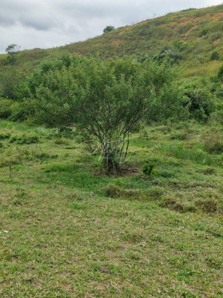 Terreno à Venda ou Locação, 5.000 m² em Santo Antônio - Serra