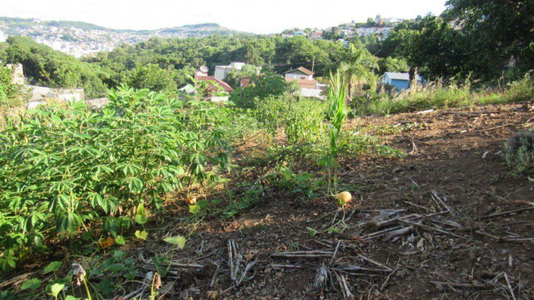 Imagem Terreno à Venda, 883 m² em Petrópolis - Concórdia Imagem Terreno à Venda, 883 m² em Petrópolis - Concórdia