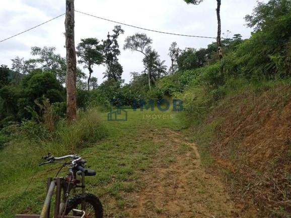 Imagem Chácara à Venda, 20.000 m² em Rio Molha - Jaraguá Do Sul