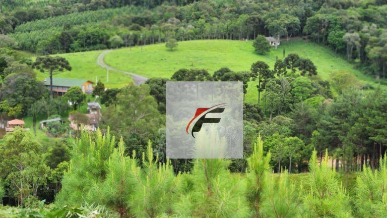 Imagem Chácara com 3 Quartos à Venda, 305.000 m² em Zona Rural - Tijucas Do Sul