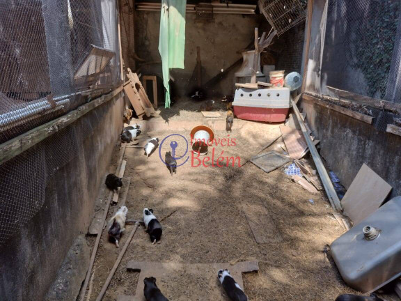 Imagem Casa com 3 Quartos à Venda, 480 m² em Centro - Lauro De Freitas Imagem Casa com 3 Quartos à Venda, 480 m² em Centro - Lauro De Freitas
