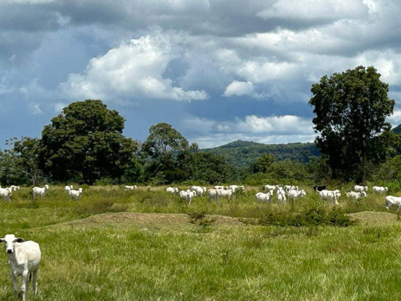 Imagem Fazenda à Venda, 1 m² em Cuiabá Imagem Fazenda à Venda, 1 m² em Cuiabá
