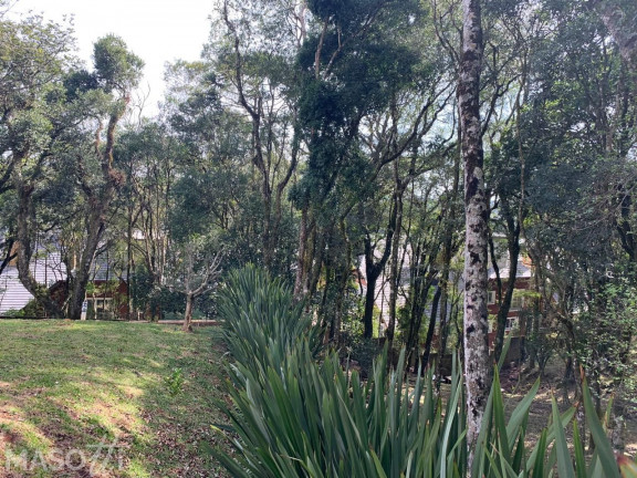 Imagem Terreno à Venda, 1.366 m² em Centro - Gramado Imagem Terreno à Venda, 1.366 m² em Centro - Gramado