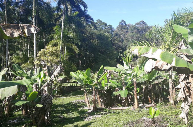 Imagem Imóvel à Venda, em . - Miracatu Imagem Imóvel à Venda, em . - Miracatu