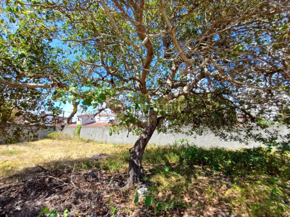 Imagem Terreno à Venda, 765 m² em Ponta Negra - Natal Imagem Terreno à Venda, 765 m² em Ponta Negra - Natal