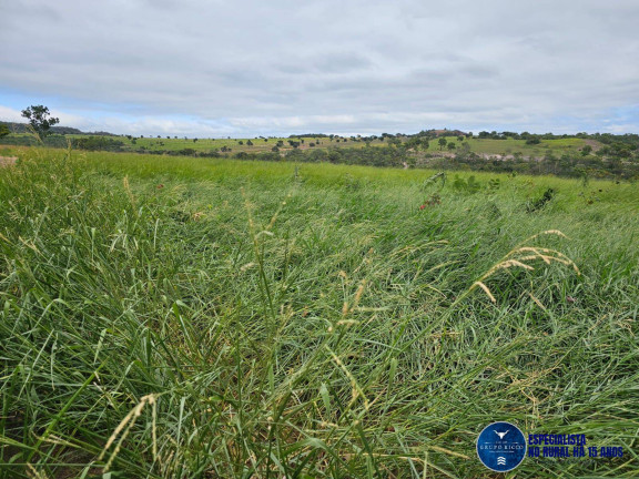 Imagem Fazenda à Venda, 1 m² em Zona Rural - Bom Jardim De Goiás Imagem Fazenda à Venda, 1 m² em Zona Rural - Bom Jardim De Goiás