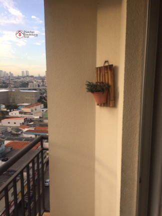 Imagem Apartamento com 2 Quartos à Venda, 50 m² em Quinta Da Paineira - São Paulo