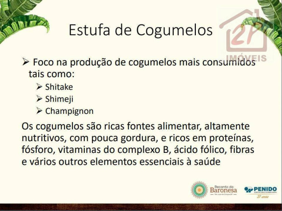Imagem Terreno à Venda, 750 m² em Jardim Portugal - São José Dos Campos Imagem Terreno à Venda, 750 m² em Jardim Portugal - São José Dos Campos