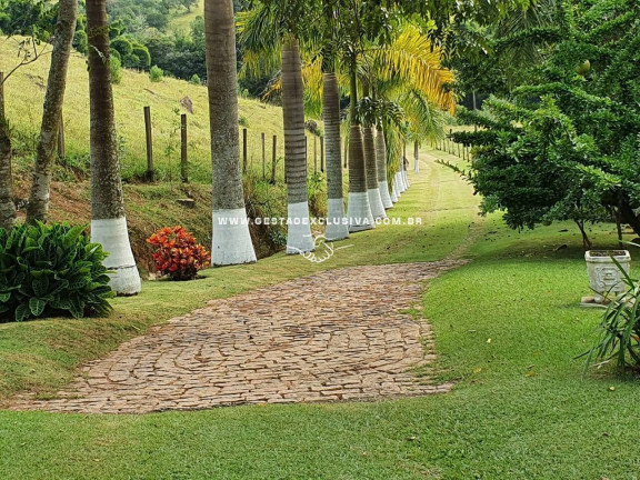 Imagem Chácara com 3 Quartos à Venda, 174.000 m² em Bairro Dos Pintos - Itatiba