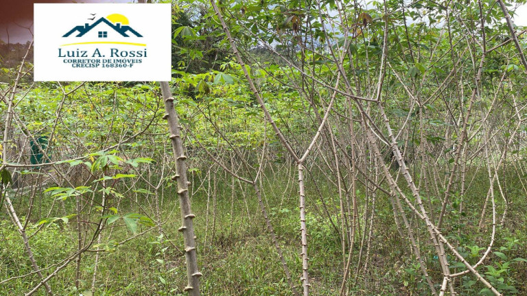 Imagem Terreno à Venda, 500 m² em Centro - Pedro De Toledo Imagem Terreno à Venda, 500 m² em Centro - Pedro De Toledo