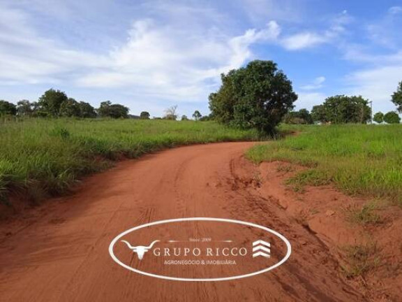 Imagem Fazenda à Venda, em Zona Rural - Montes Claros De Goiás Imagem Fazenda à Venda, em Zona Rural - Montes Claros De Goiás