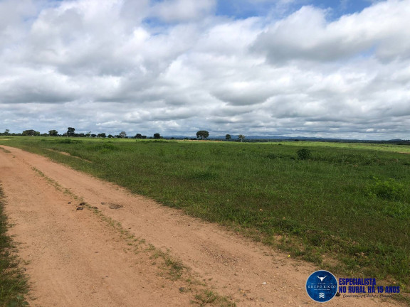 Imagem Fazenda à Venda, 105 m² em Zona Rural - Fazenda Nova Imagem Fazenda à Venda, 105 m² em Zona Rural - Fazenda Nova