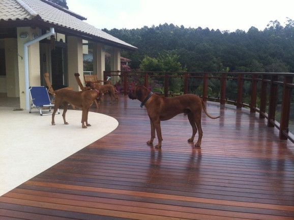 Imagem Casa com 6 Quartos à Venda, 493 m² em João Paulo - Florianópolis Imagem Casa com 6 Quartos à Venda, 493 m² em João Paulo - Florianópolis