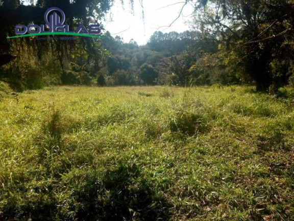 Imagem Chácara com 2 Quartos à Venda, 40 m² em Centro - Viamão