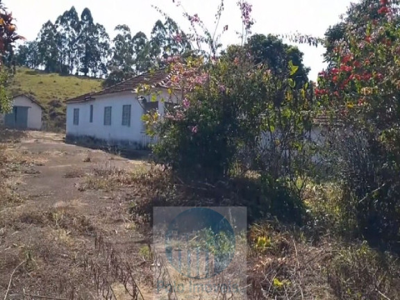 Imagem Imóvel com 4 Quartos à Venda, 540.628 m² em Zona Rural - Biguatinga