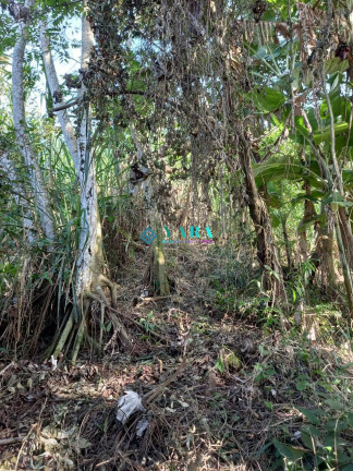 Imagem Terreno à Venda, 1.938 m² em Barra Velha - Ilhabela