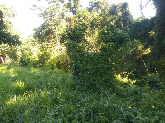 Imagem Chácara com 2 Quartos à Venda, 14 m² em Itarassú - Capela Do Alto Imagem Chácara com 2 Quartos à Venda, 14 m² em Itarassú - Capela Do Alto