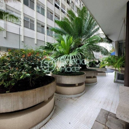 Imagem Apartamento com 3 Quartos à Venda, 250 m² em Higienópolis - São Paulo Imagem Apartamento com 3 Quartos à Venda, 250 m² em Higienópolis - São Paulo