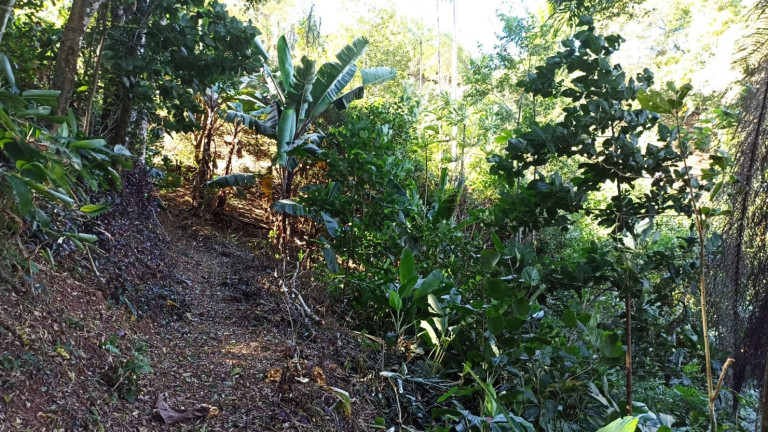 Imagem Chácara com 3 Quartos à Venda, 200 m² em Canaã I - Jambeiro Imagem Chácara com 3 Quartos à Venda, 200 m² em Canaã I - Jambeiro