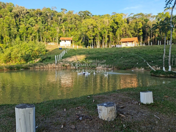 Imagem Imóvel com 4 Quartos à Venda,  em Arnópolis - Alfredo Wagner Sc