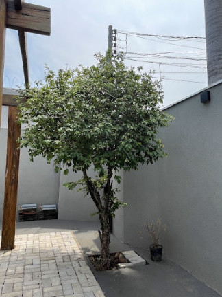 Imagem Casa com 3 Quartos à Venda, 242 m² em Caranda - Campo Grande Imagem Casa com 3 Quartos à Venda, 242 m² em Caranda - Campo Grande