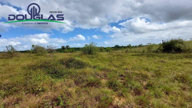 Imagem Chácara à Venda, 20.000 m² em águas Claras - Viamão