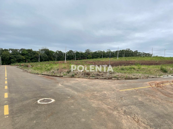 Imagem Terreno à Venda, 360 m² em Cristo Rei - Içara