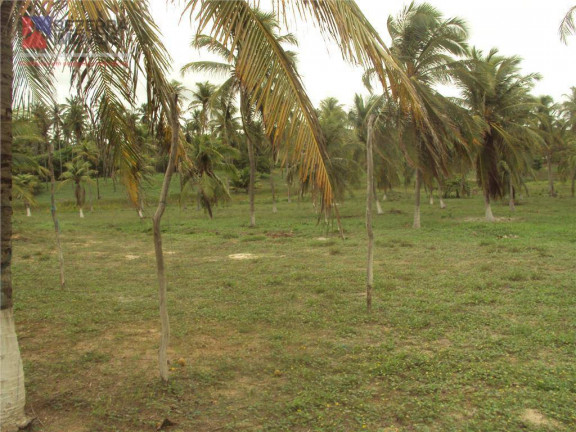 Imagem Fazenda à Venda, 543.221 m² em Touros - Touros