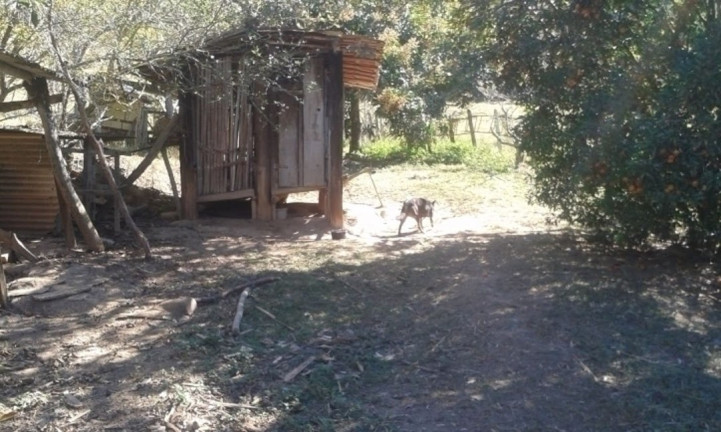 Imagem Chácara com 3 Quartos à Venda, 300 m² em Canaã - Jambeiro Imagem Chácara com 3 Quartos à Venda, 300 m² em Canaã - Jambeiro