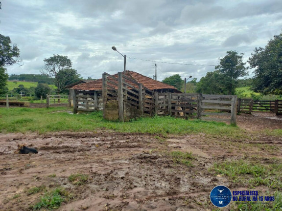 Imagem Chácara à Venda, 8 m² em Zona Rural - Itaberaí Imagem Chácara à Venda, 8 m² em Zona Rural - Itaberaí
