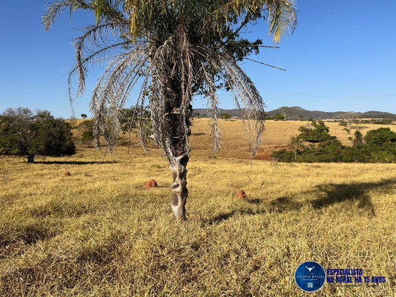 Imagem Chácara à Venda, 3 m² em Zona Rural - Taquaral De Goiás Imagem Chácara à Venda, 3 m² em Zona Rural - Taquaral De Goiás