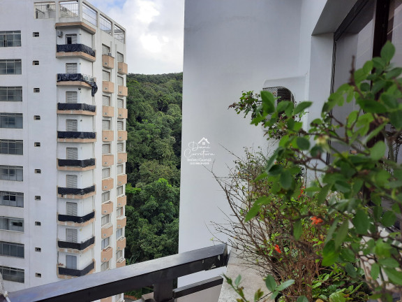 Imagem Imóvel com 4 Quartos à Venda, 305 m² em Pitangueiras - Guarujá Imagem Imóvel com 4 Quartos à Venda, 305 m² em Pitangueiras - Guarujá