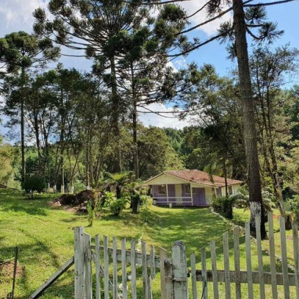 Imagem Imóvel com 3 Quartos à Venda, em Tijucas Do Sul - Tijucas Do Sul Imagem Imóvel com 3 Quartos à Venda, em Tijucas Do Sul - Tijucas Do Sul