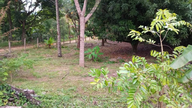 Imagem Casa com 4 Quartos à Venda, 2.000 m² em Ferreiras - Socorro Imagem Casa com 4 Quartos à Venda, 2.000 m² em Ferreiras - Socorro