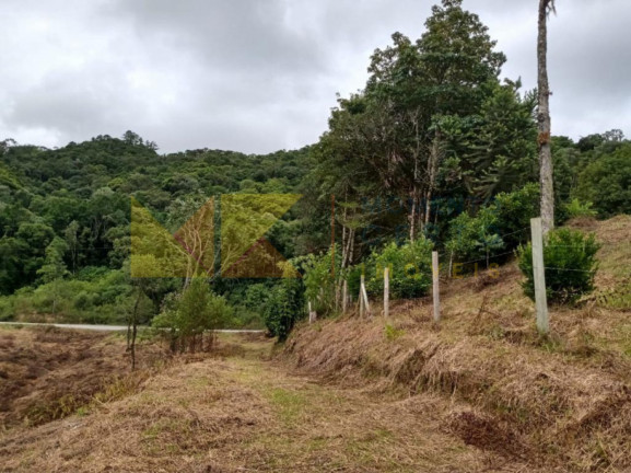 Imagem Fazenda à Venda, 64.288 m² em Barra Avencal - Rio Dos Cedros