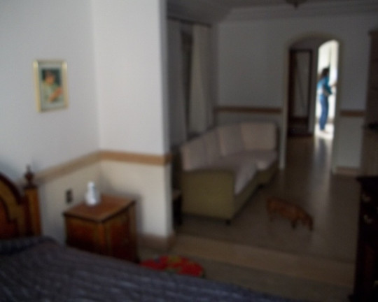 Imagem Casa com 3 Quartos à Venda, 500 m² em Indianópolis - São Paulo Imagem Casa com 3 Quartos à Venda, 500 m² em Indianópolis - São Paulo