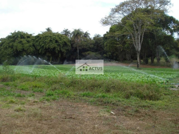 Imagem Chácara à Venda, 20.000 m² em Campo Verde - Mário Campos