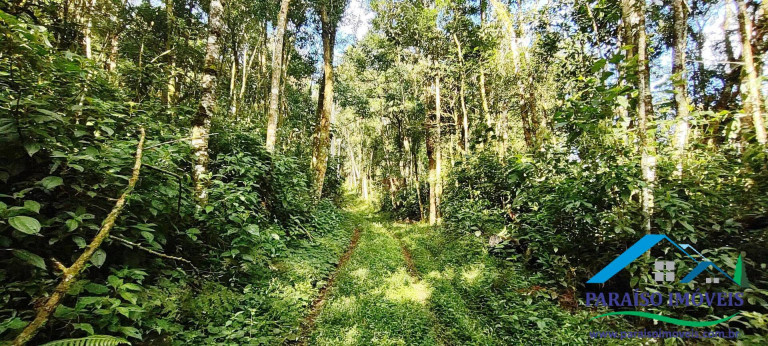 Imagem Chácara à Venda, 81 m² em Centro - Gonçalves Imagem Chácara à Venda, 81 m² em Centro - Gonçalves