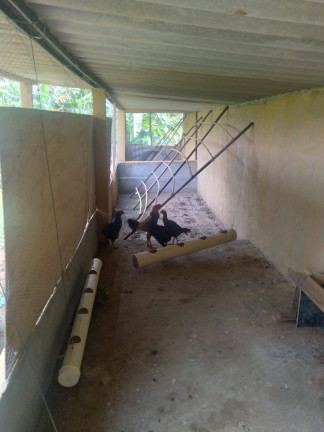 Imagem Chácara com 3 Quartos à Venda, 21 m² em Cromínia Imagem Chácara com 3 Quartos à Venda, 21 m² em Cromínia